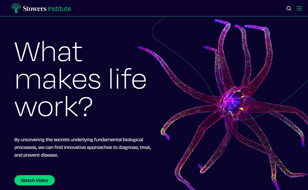 Home | Stowers Institute for Medical Research