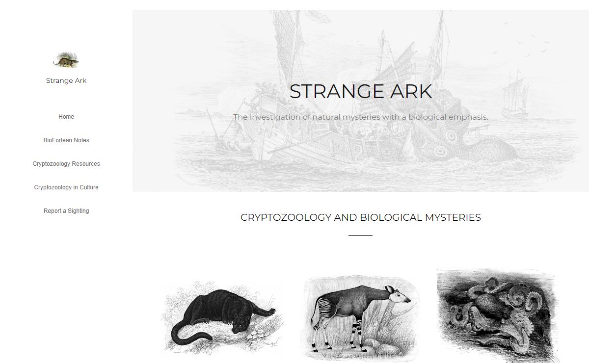 Strange Ark