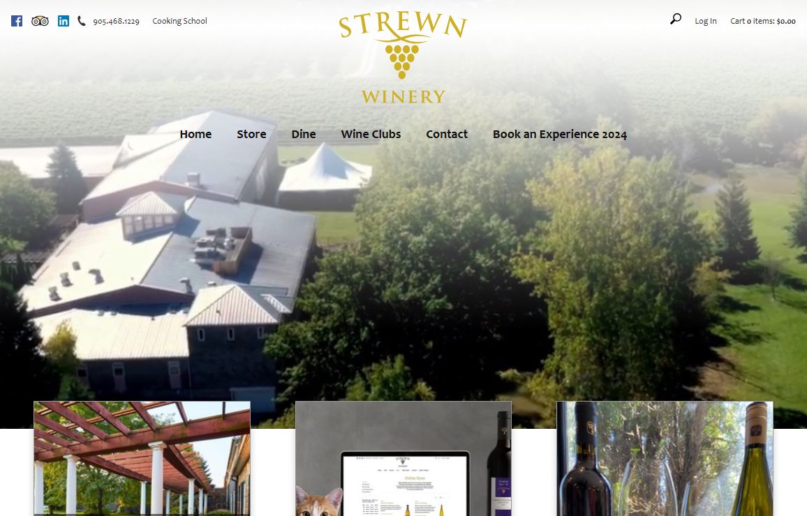 Strewn Inc
