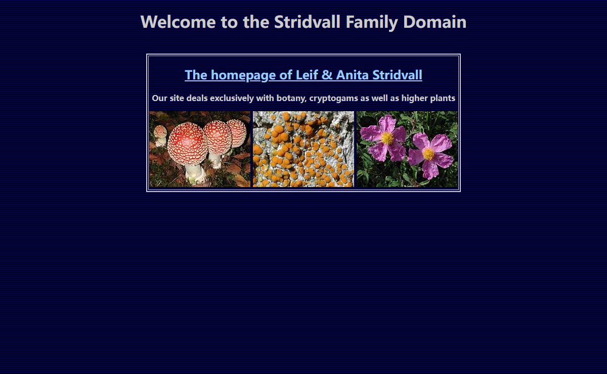 Stridvall Family