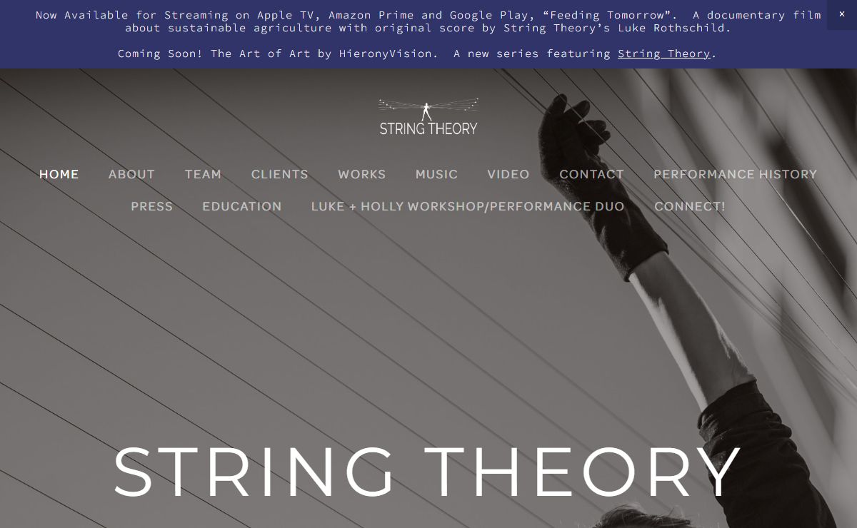 STRING THEORY HARP