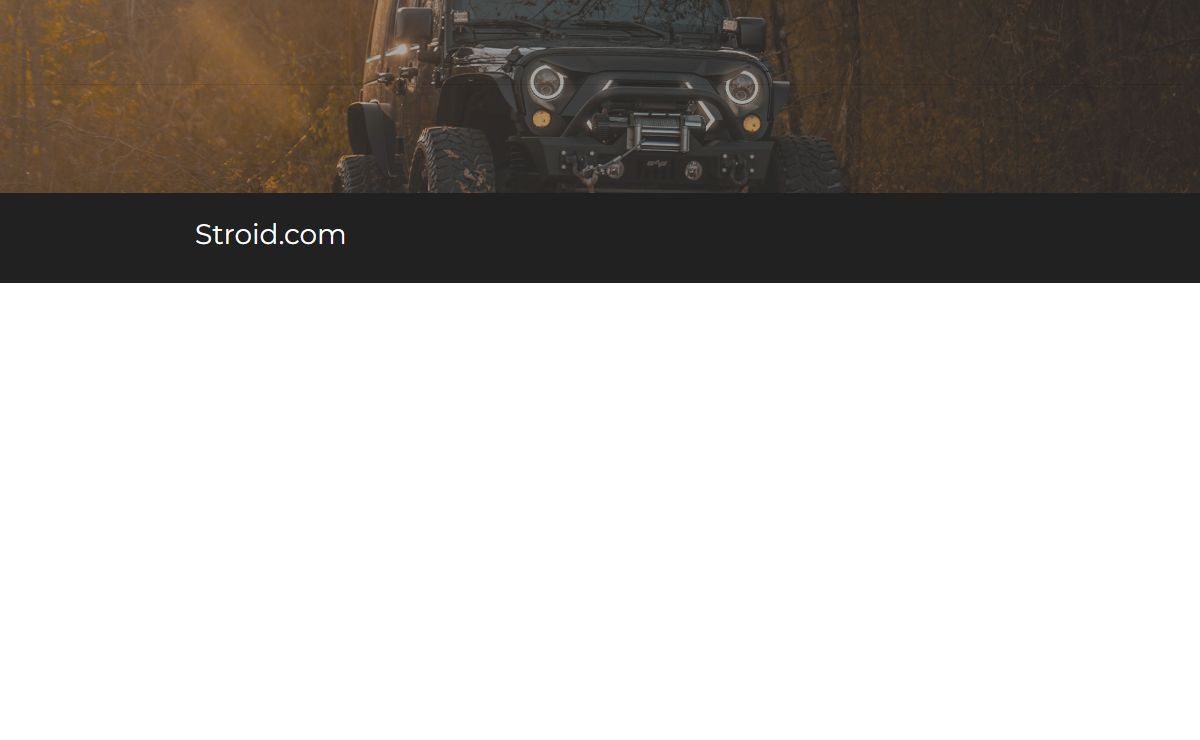 Home - Stroid.com