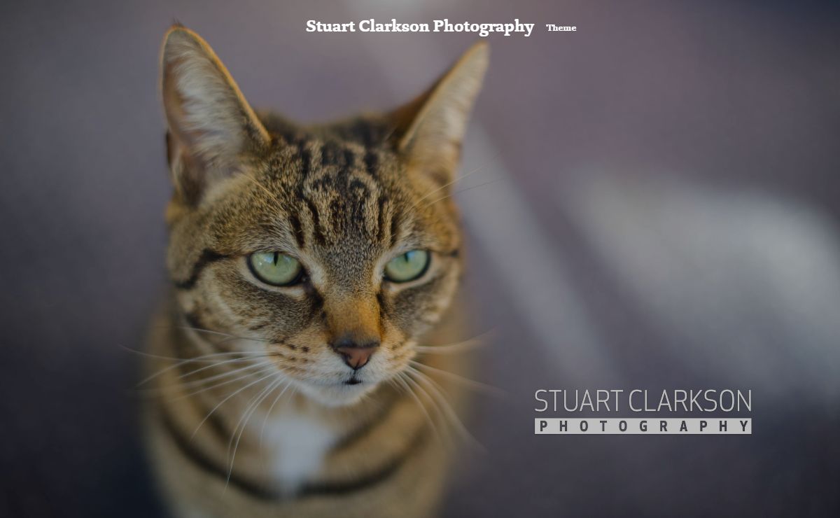 Stuart Clarkson Photography