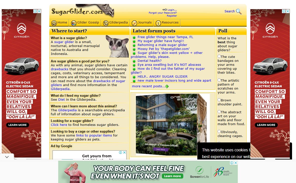 SugarGlider.com