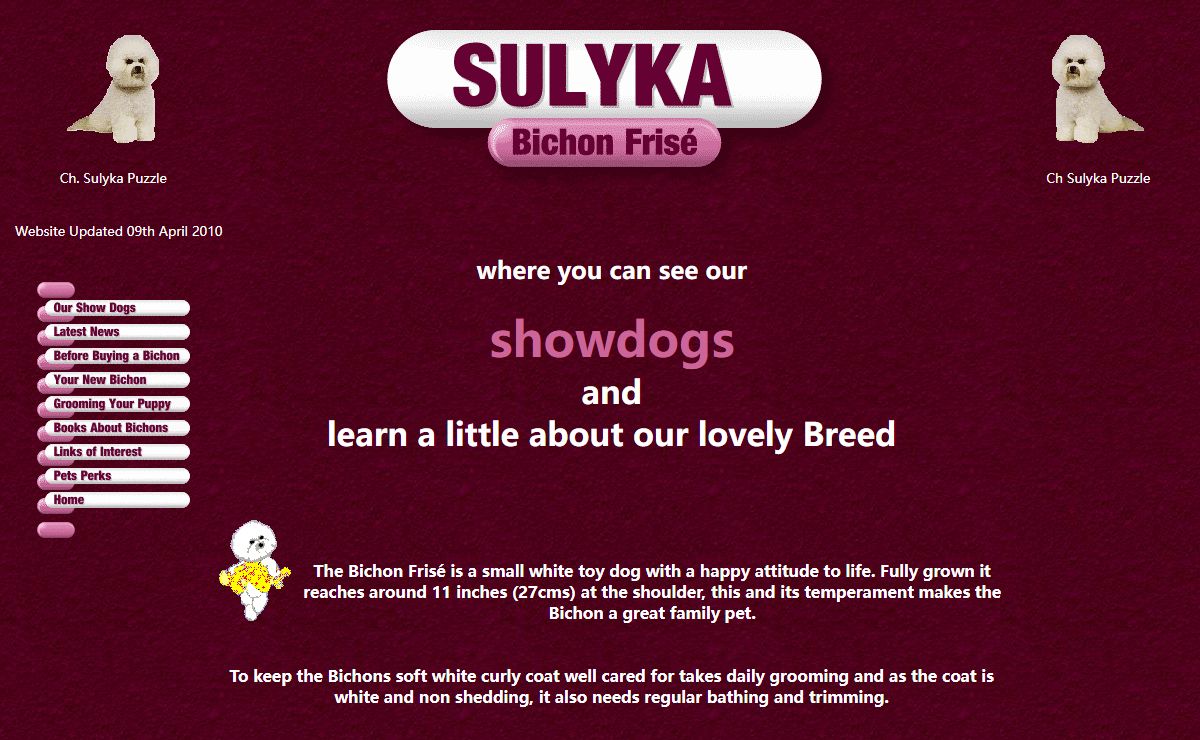 Sulyka Bichon Frisé - All you need to know about Bichons