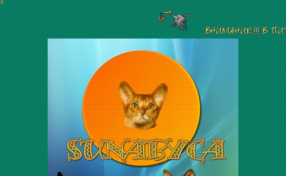 Абиссинские кошки, абиссинские котята, питомник абиссинских кошек SUNABYCA