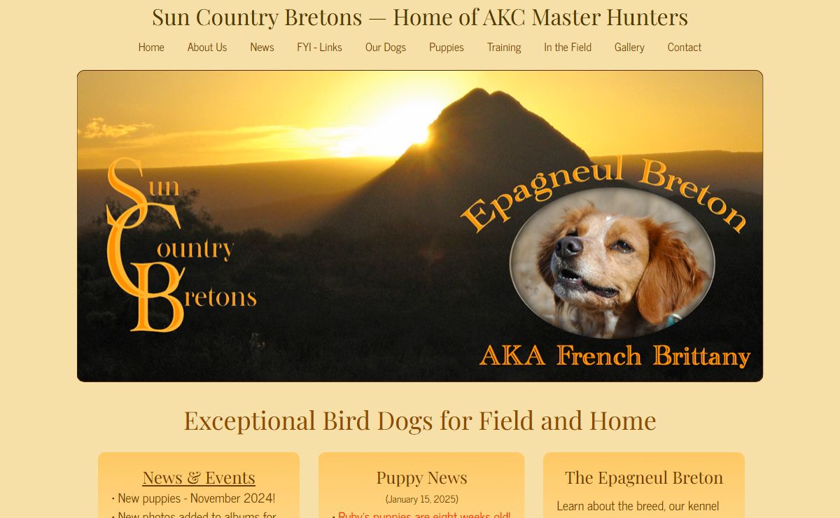 French Brittany Breeders | Epagneul Bretons | Sun Country Bretons