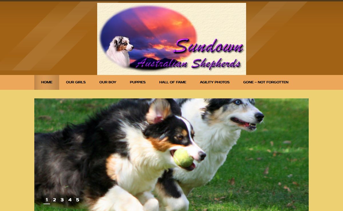 OUR NEWEST TITLES - AGILITY AND TRACKING
