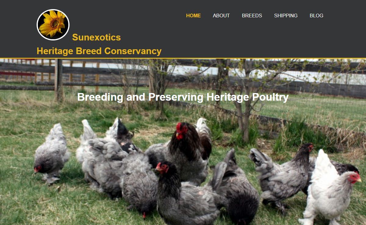 Sunexotics | Heritage Breed Conservancy
