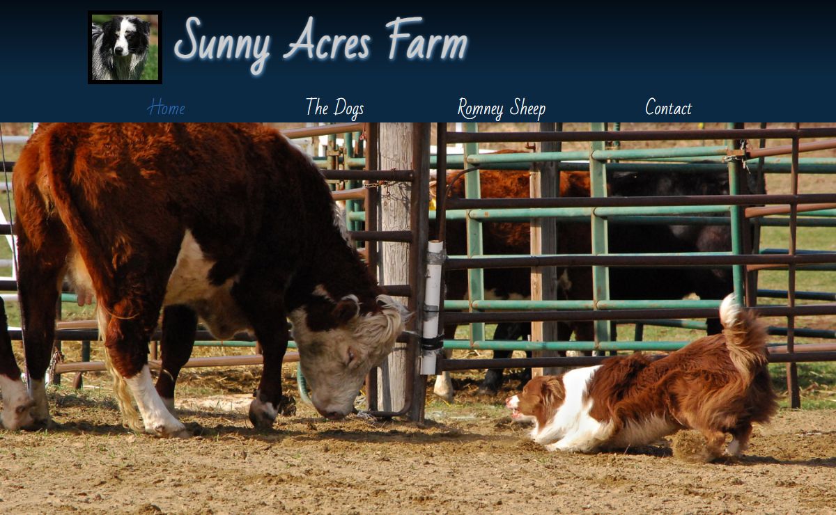 Sunny acres farm