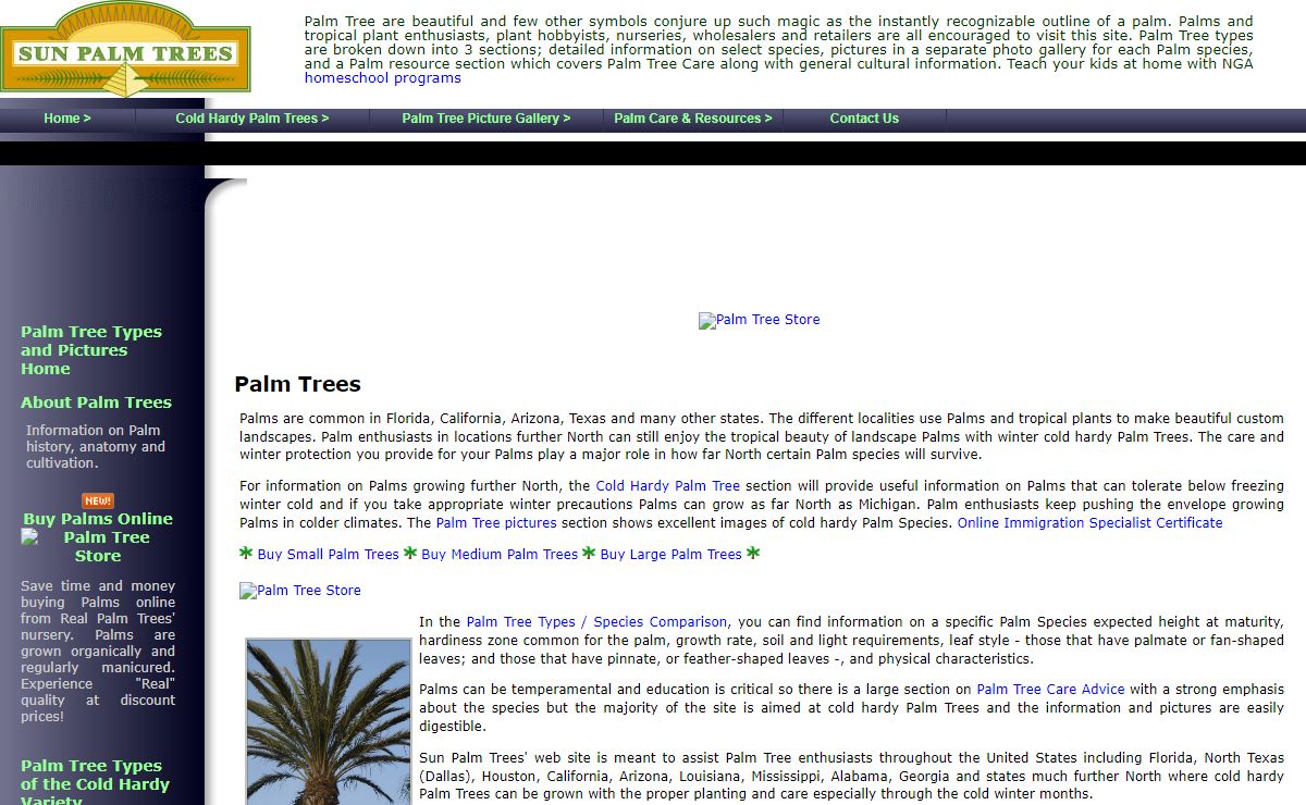 Palm Tree Types and Palm Tree Pictures from Sun Palm Trees