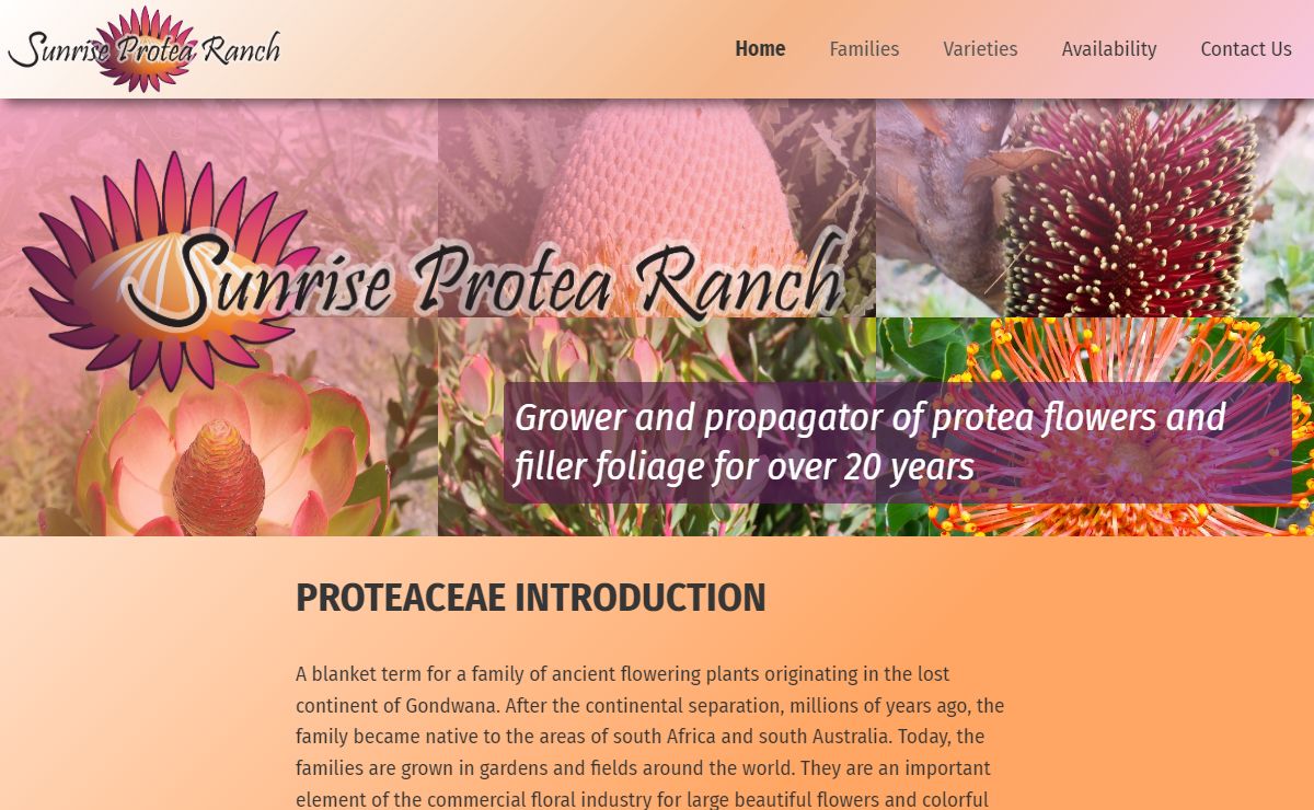 Sunrise Protea Home