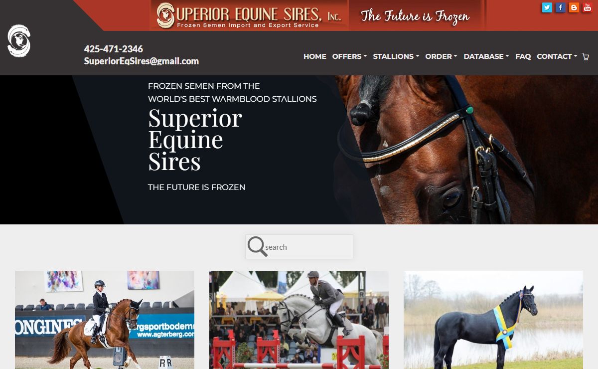 Superior Equine Sires