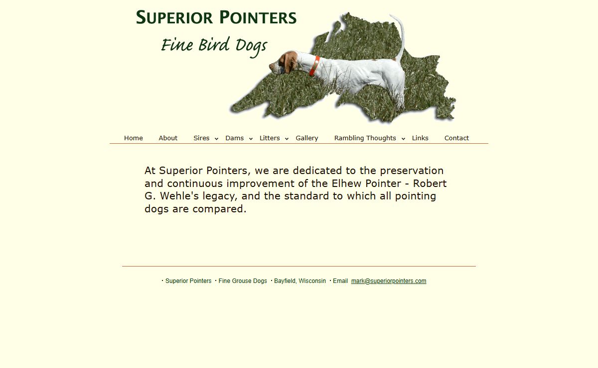 Elhew Pointers at Superior Pointers, Fine Elhew Pointer Grouse Dogs