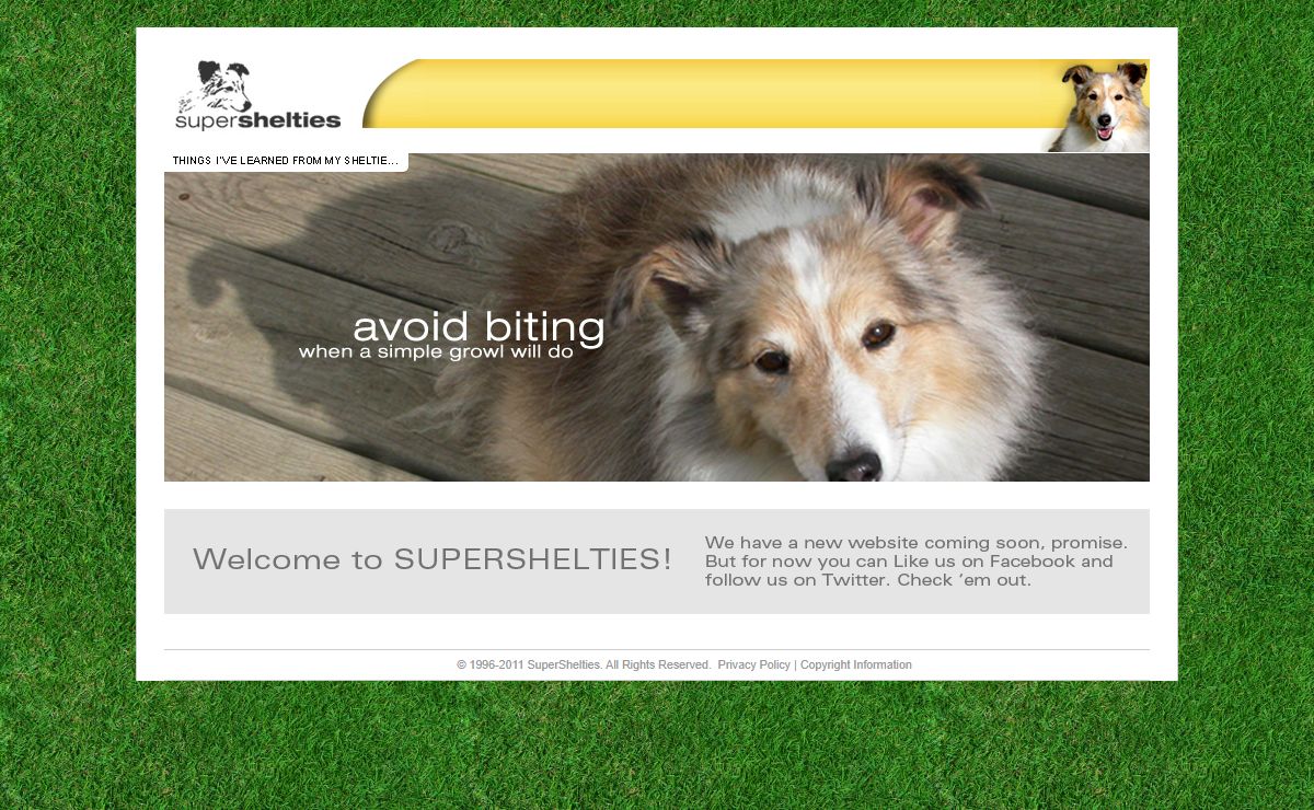 SuperShelties
