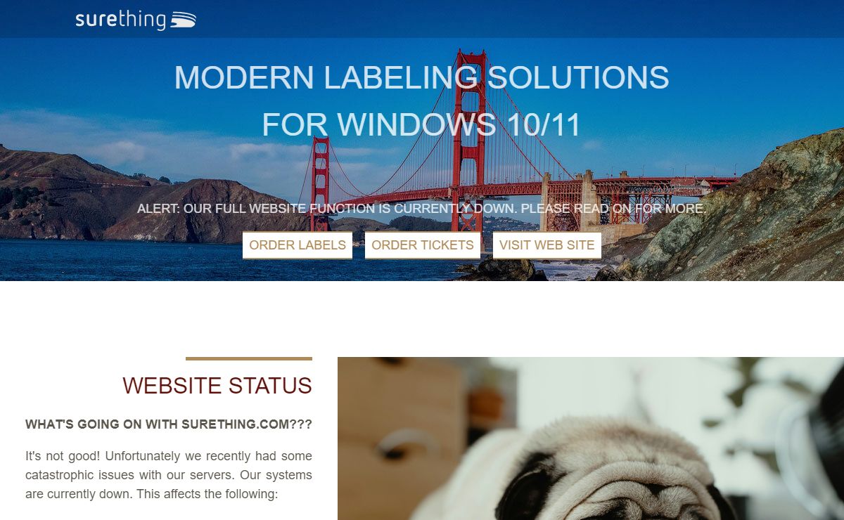 surething www.surething.com