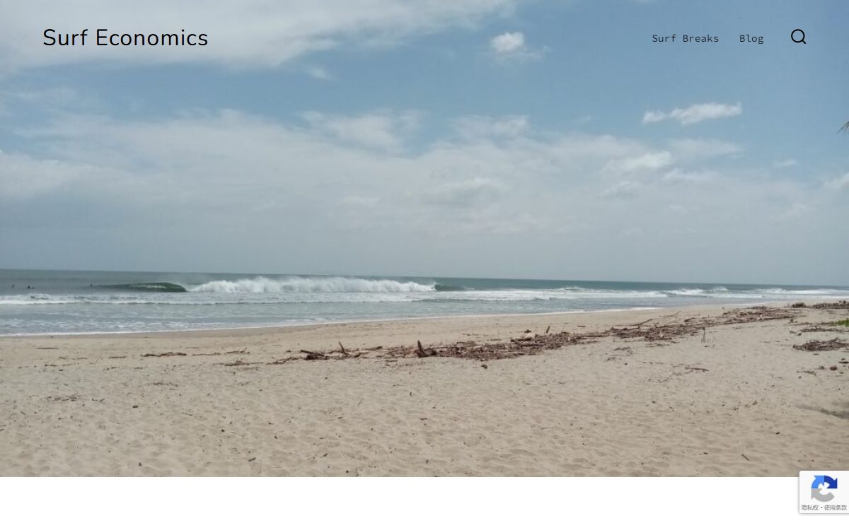 Surf Economics