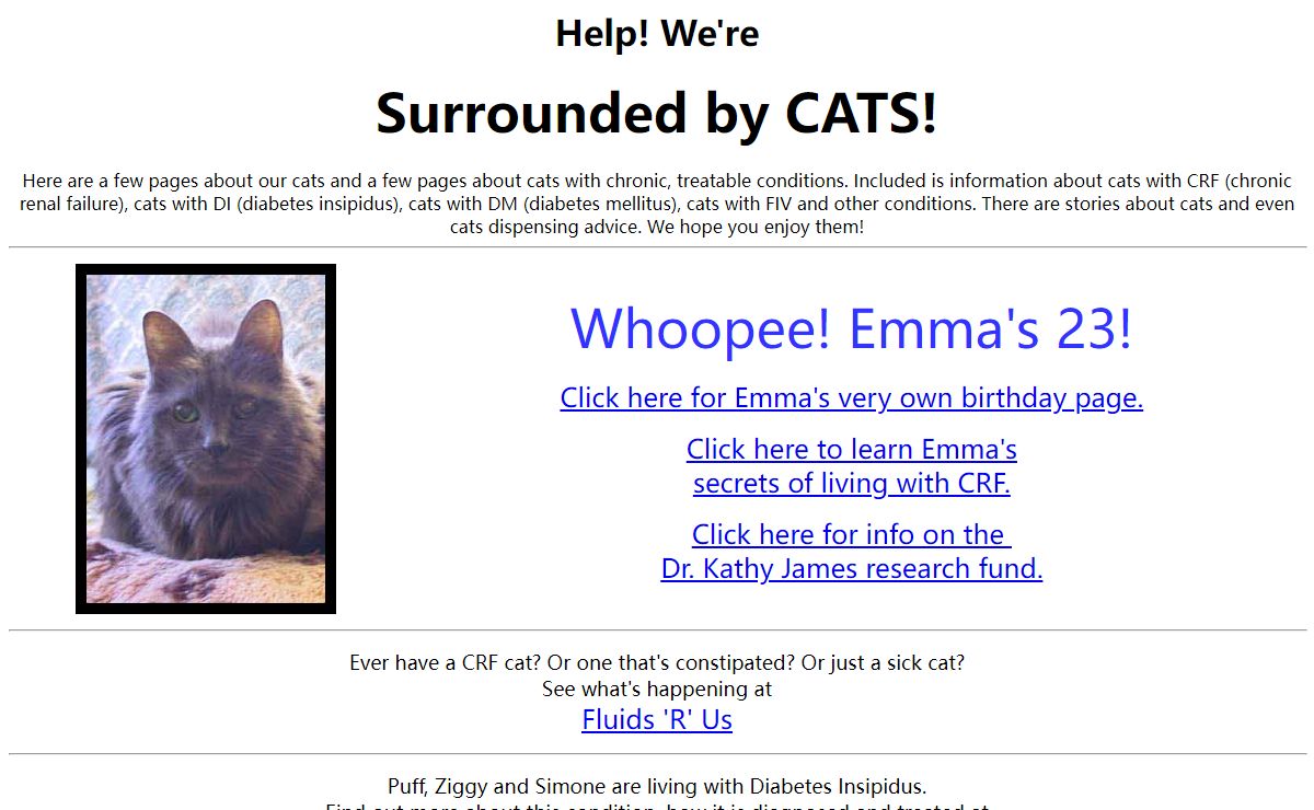 Surrounded By Cats! -- Pat & MJ's Homepage