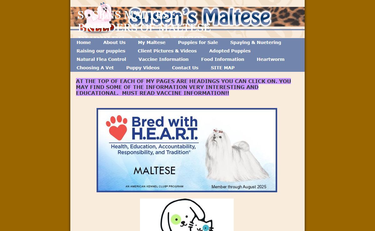 Maltese Puppies | Maltese Breeders | Puppies for sale | Dogs