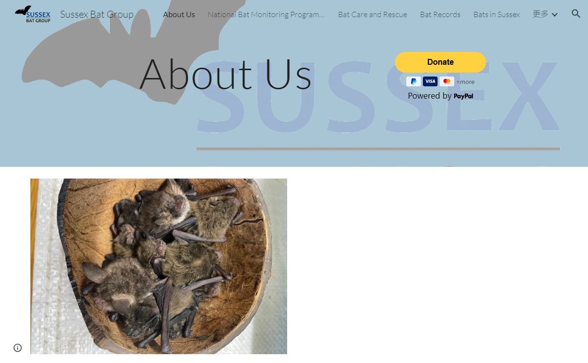 Sussex Bat Group