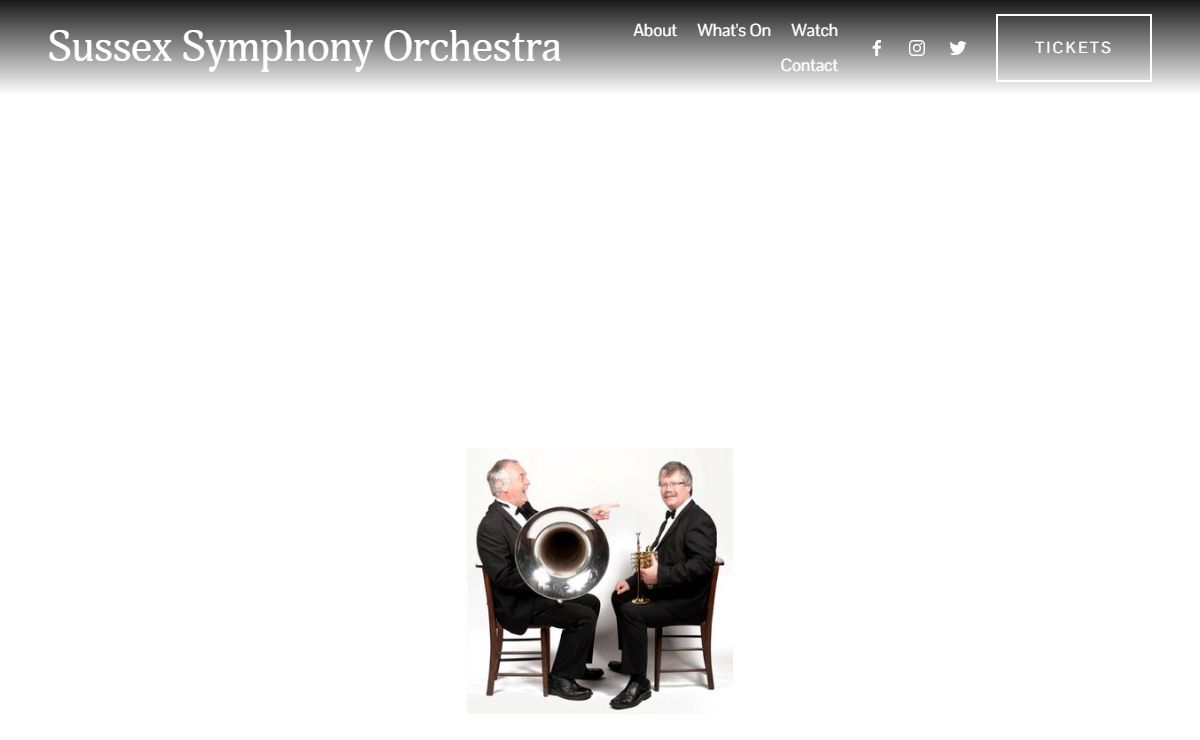 Sussex Symphony Orchestra
