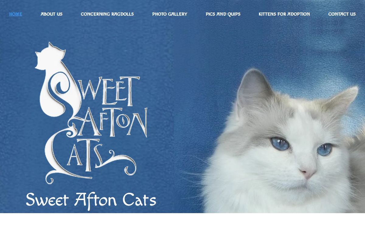 HOME | Sweet Afton Cats