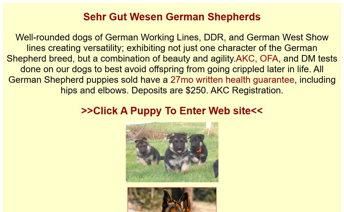 Sehr Gut Wesen German Shepherd