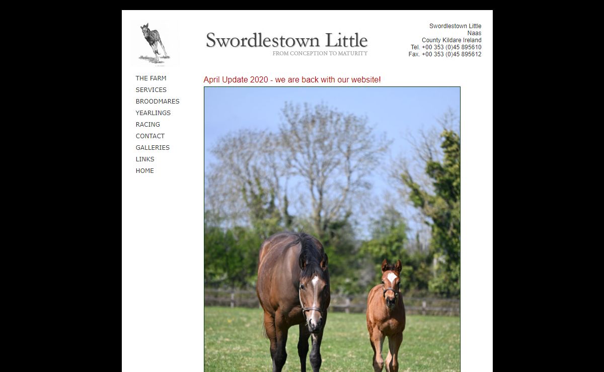 Swordlestown Little Naas County Kildare - mare boarding in Ireland