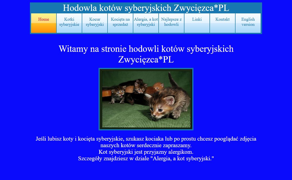 Koty i kocięta syberyjskie w hodowli, rasowy kot syberyjski.