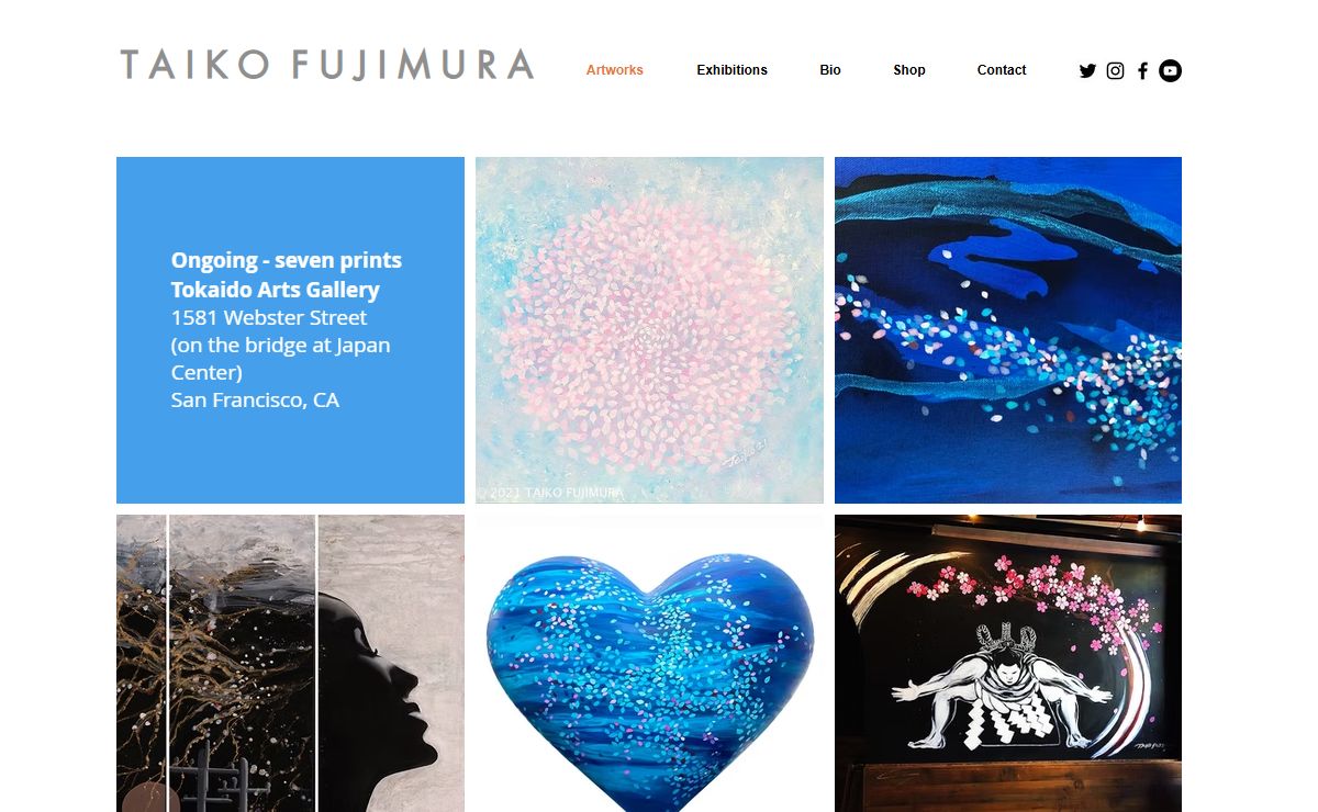 Mixed media painter in San Francisco. | Taiko Fujimura | United States