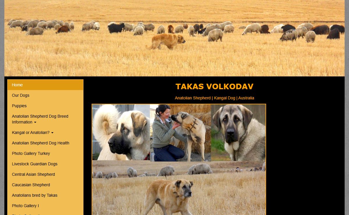 TAKAS VOLKODAV