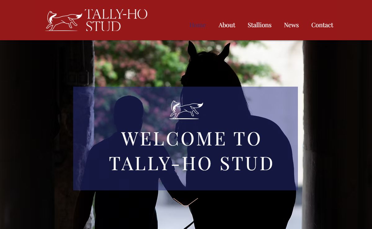 Home | Tally Ho Stud