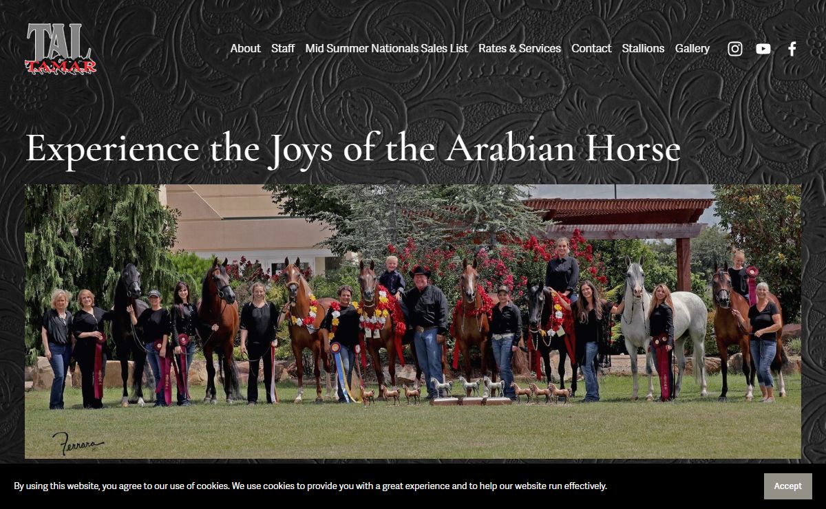 Tamar Arabians Ltd.