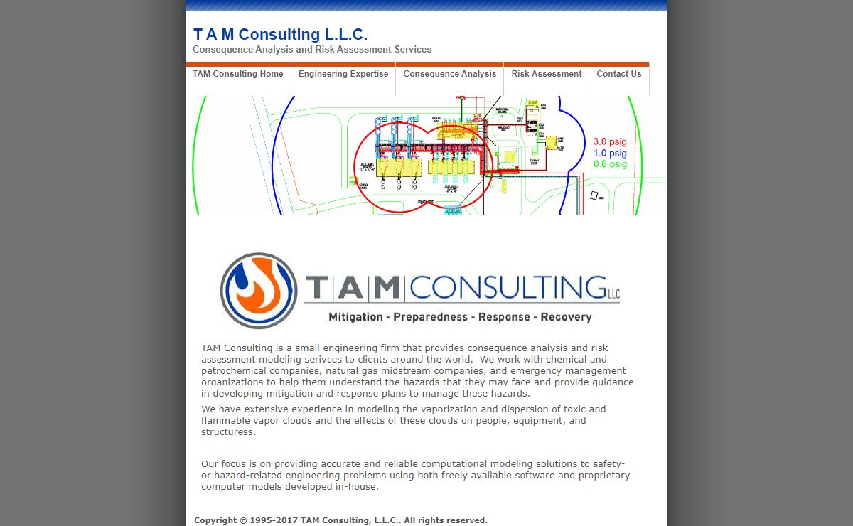 T A M Consulting L.L.C.