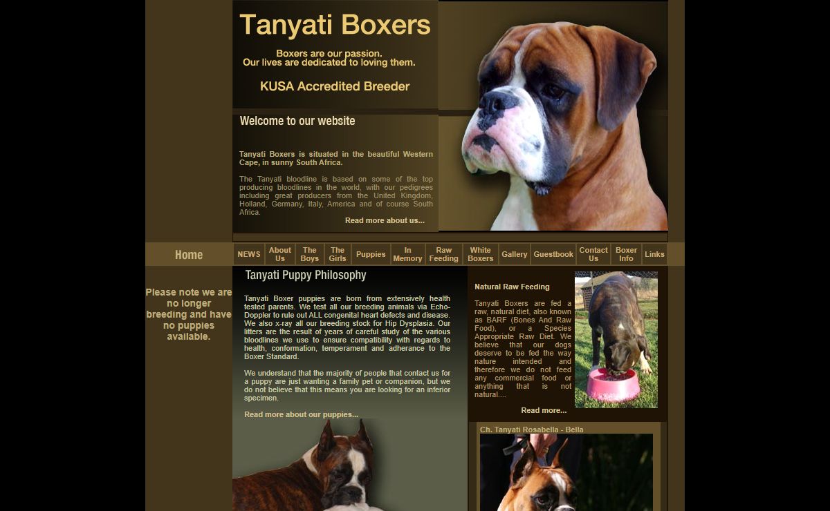 Tanyati Boxers - South Africa - Breeders of top quality KUSA registered Boxers