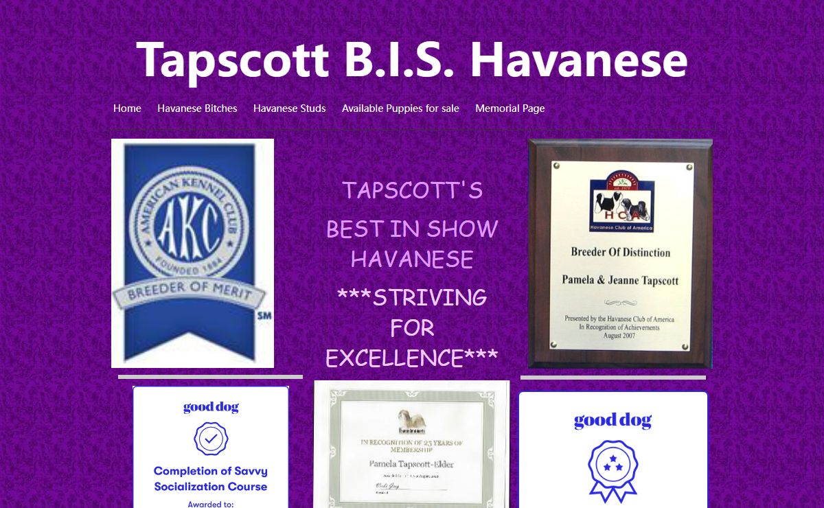 Tapscott B.I.S. Havanese