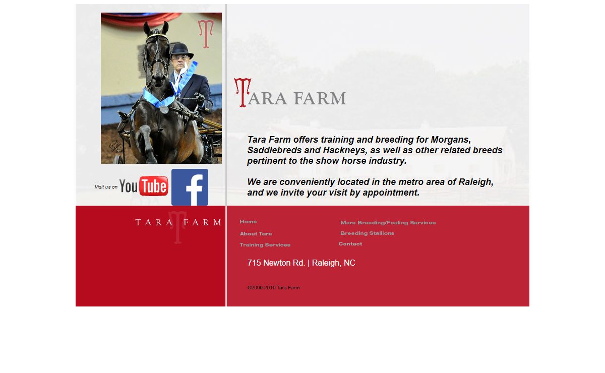 TARA FARM + Morgan Horses + Raleigh, NC