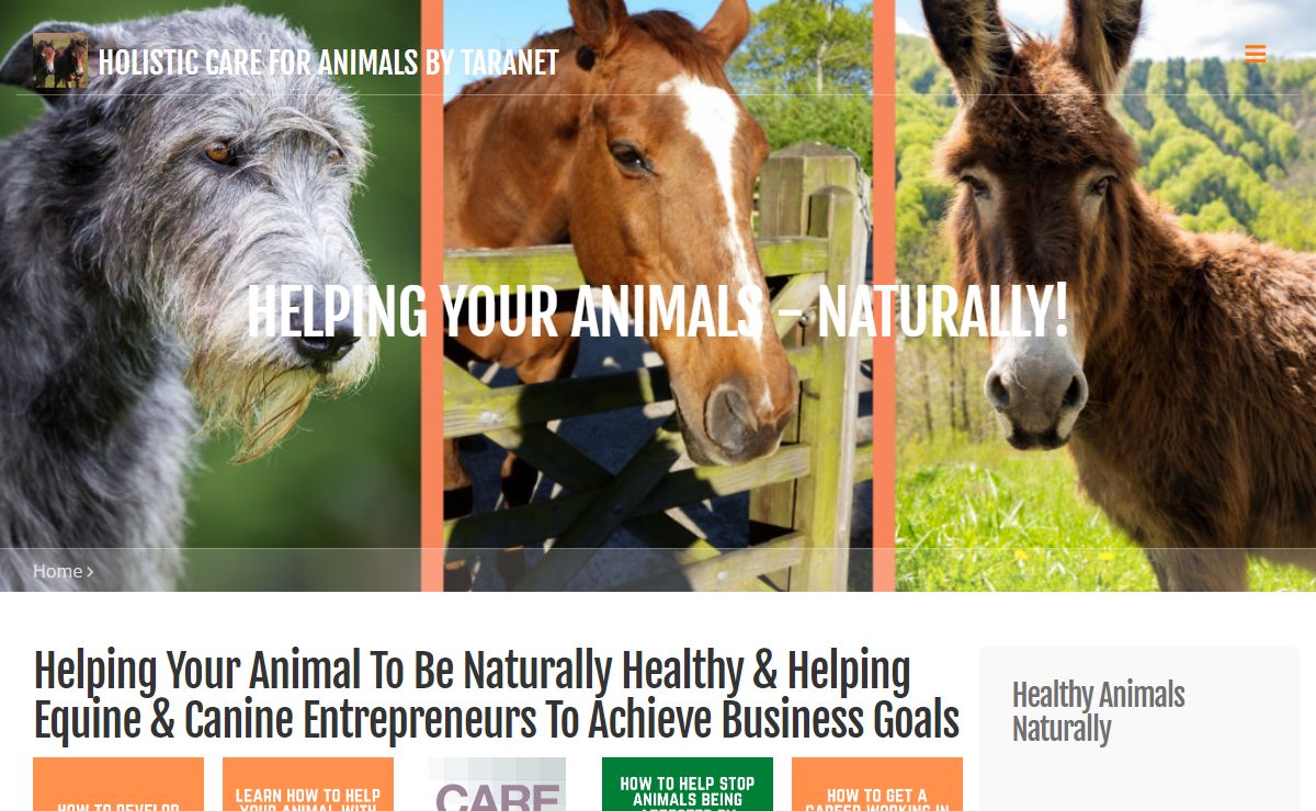 Complementary Therapies for Animals