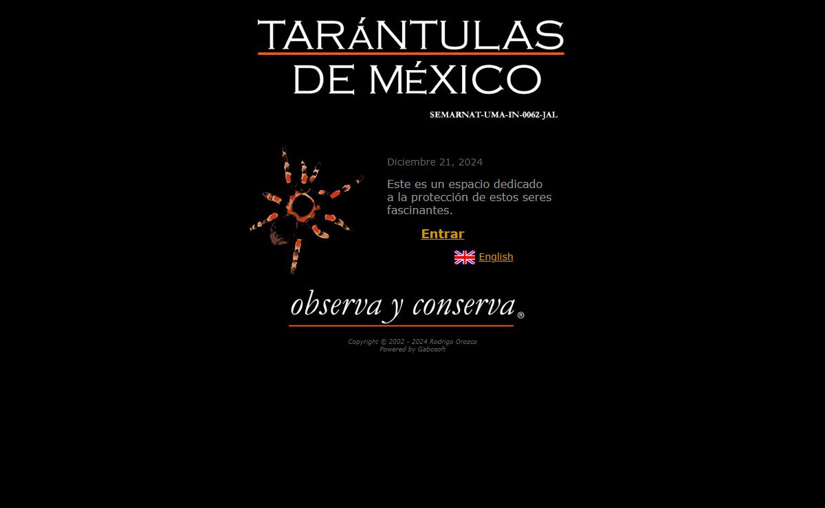 TARÁNTULAS DE MEXICO