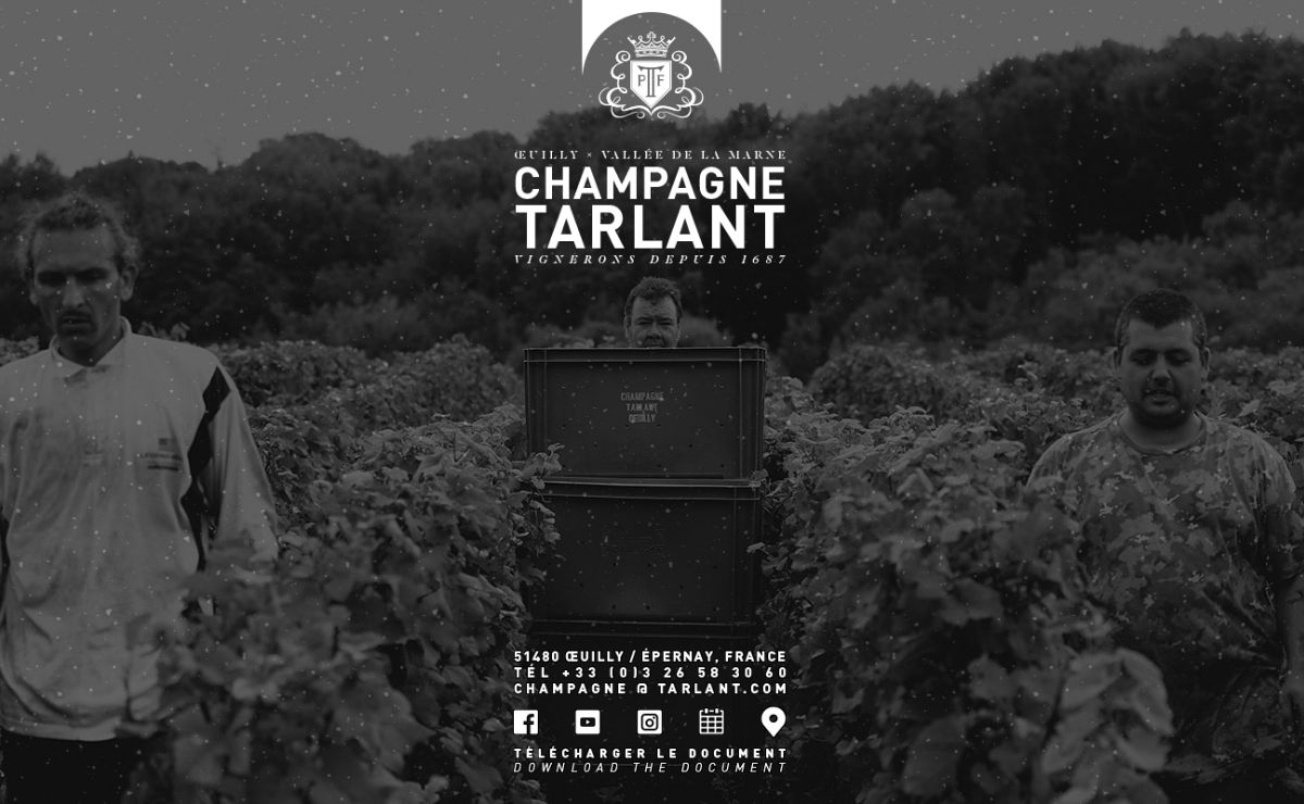 Champagne Tarlant - Vignerons en Champagne depuis 1687