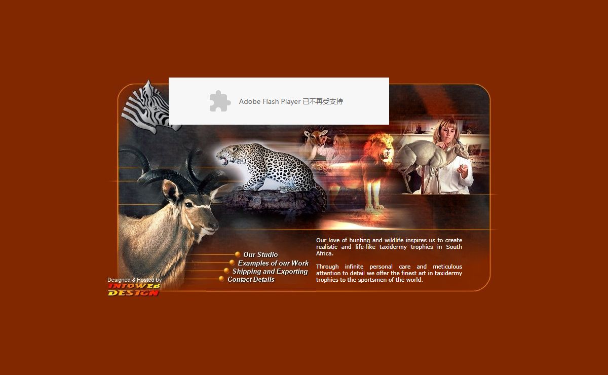 Taxidermy | Taxidermy Mounts | Life-like Hunting Trophies | Master Hunting Wall Mounts