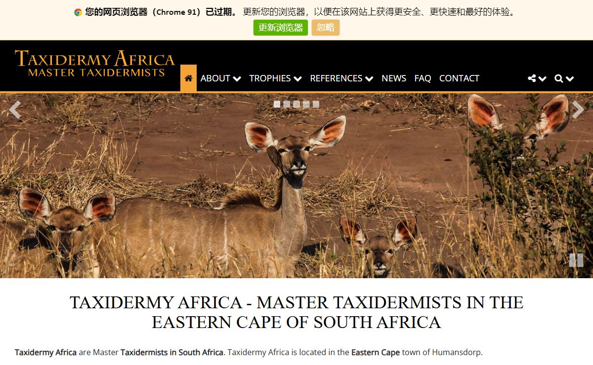 Taxidermy Africa: Taxidermist | South Africa | Eastern Cape