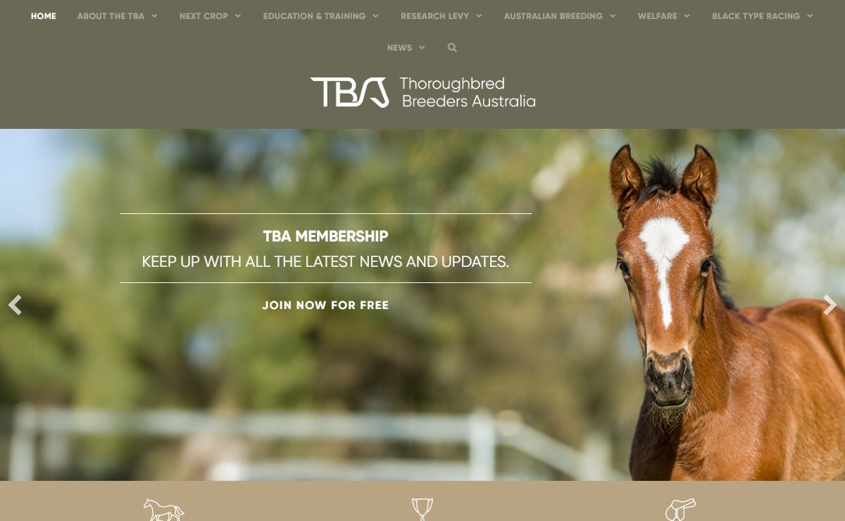 Thoroughbred Breeders Association – Website