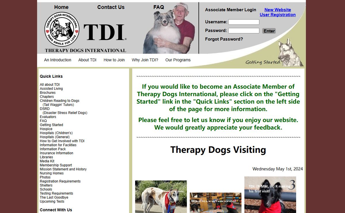 Therapy Dogs International