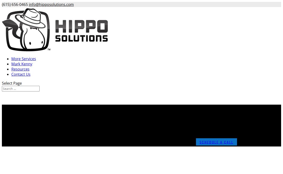 Hippo Solutions | Strategic Consultants | We work with leaders to solve their most pressing team challenges so they can focus their energy on moving their organization forward.