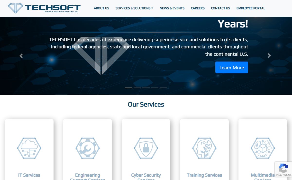 Technical Software Services