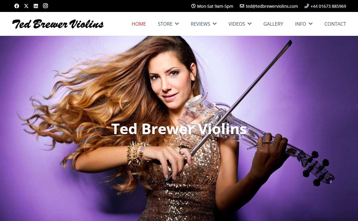 Custom Electric Violins - Ted Brewer Violins