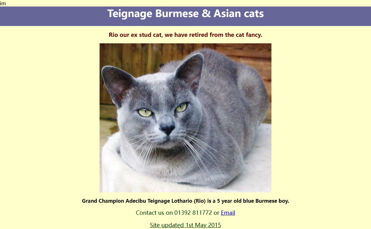 Burmese and Asian cats