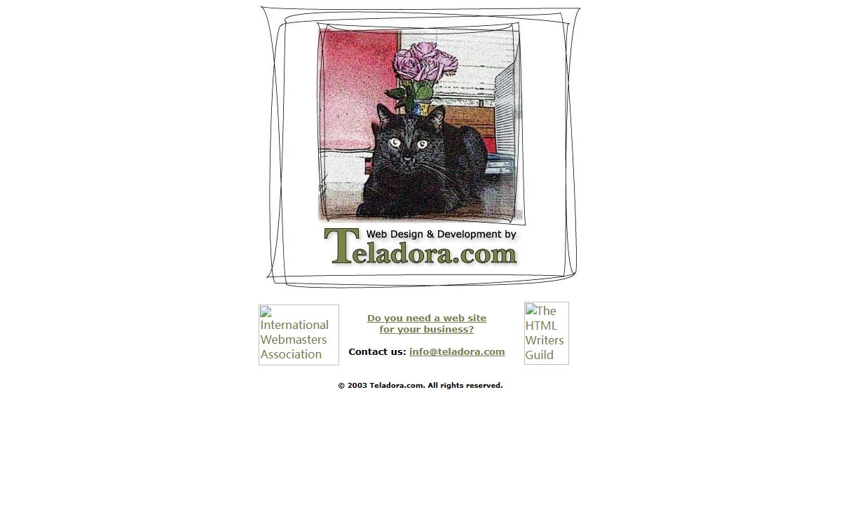 Teladora.com: Custom Web Design for Your Business