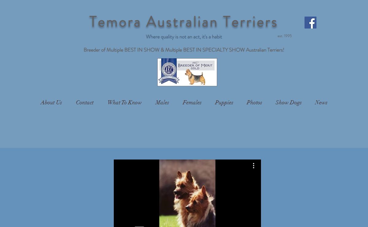Temora Australian Terriers | AKC Australian Terriers | USA
